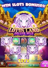 Casino Ao Vivo ssvv